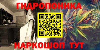 бошки Славянск-на-Кубани