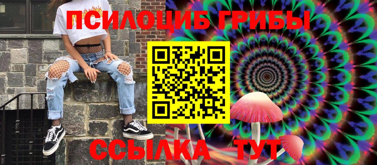 Муравленко  Галлюциногенные грибы Psilocybe  Вход с VPN 