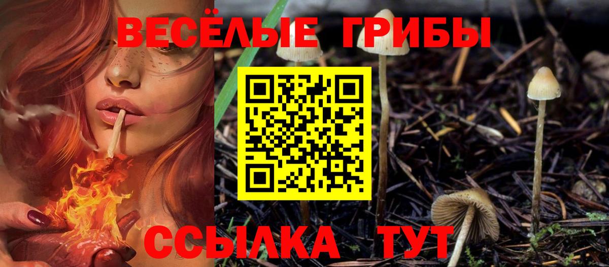 Псилоцибиновые грибы мухоморы Муравленко